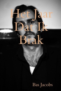 Het jaar dat ik brak